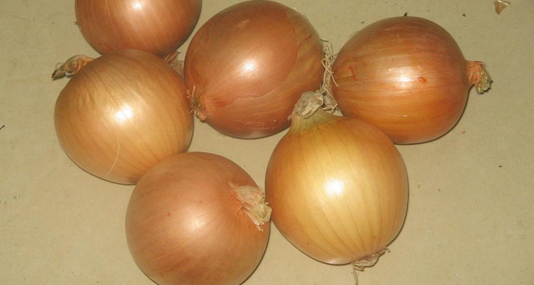 Onion