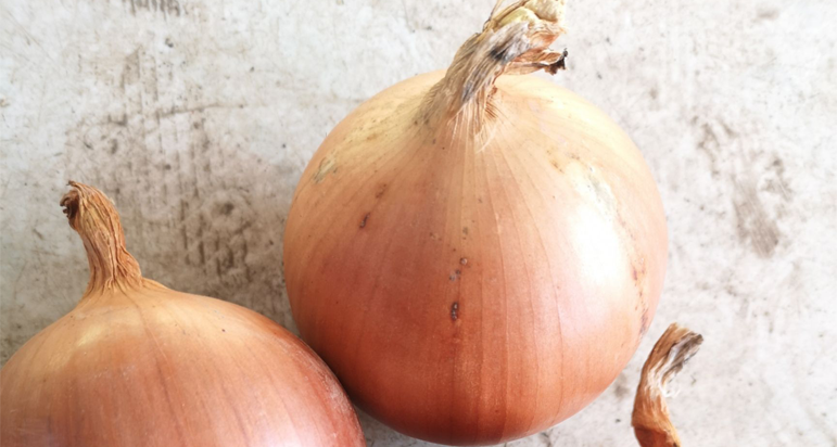 Onion