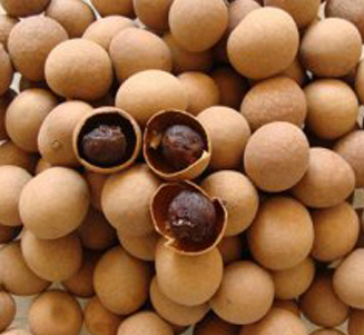 dried longan