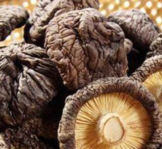 dried mushroom