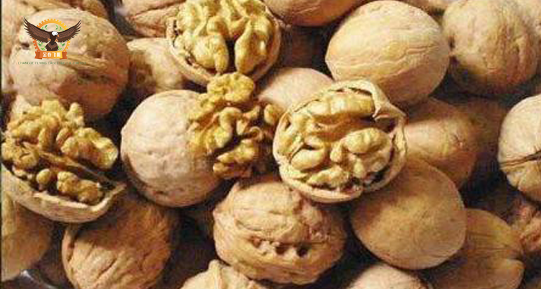 walnut