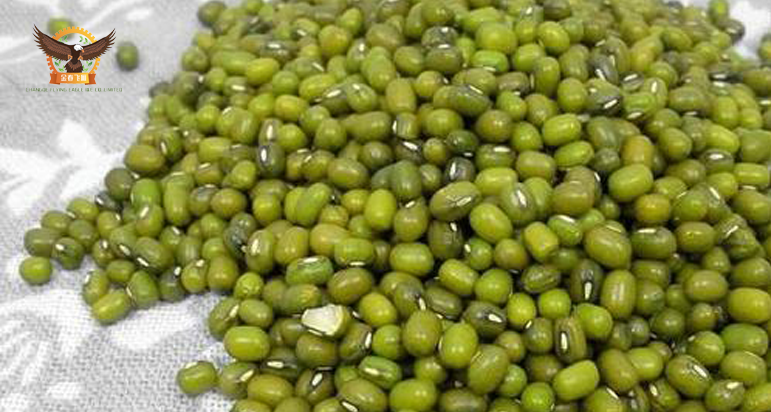 mung bean