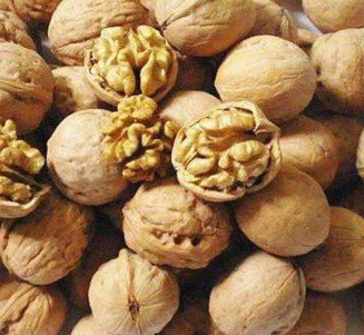 walnut