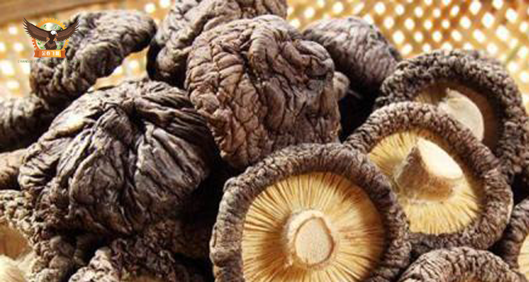 dried mushroom